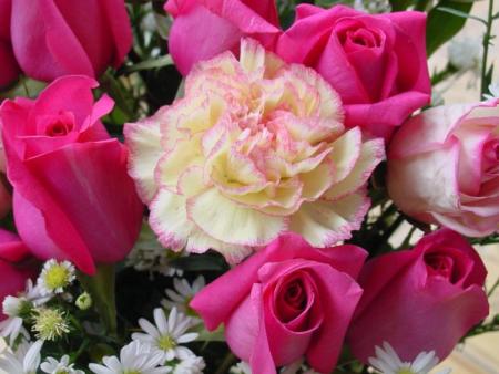 oeuil de rose et roses